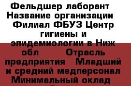 Фельдшер-лаборант › Название организации ­ Филиал ФБУЗ Центр гигиены и эпидемиологии в Ниж.обл.№ 11 › Отрасль предприятия ­ Младший и средний медперсонал › Минимальный оклад ­ 10 000 - Все города Работа » Вакансии   . Адыгея респ.,Адыгейск г.